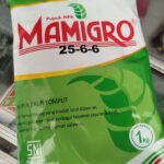 Pupuk NPK Mamigro 26-6-6