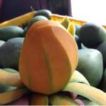 Mangga Gadung