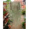 Spanish Moss - Gambar 2