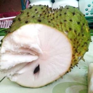 Sirsak Madu