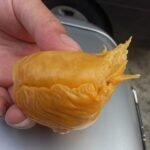 Durian Duri Hitam