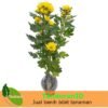 Krisan Baby Yellow - Gambar 2