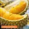 Durian Musangking - Gambar 3