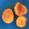 Ross Sapote - Gambar 4
