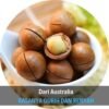 Kacang Macadamia - Gambar 3